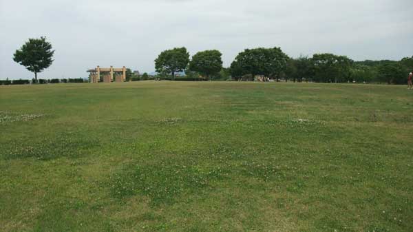 ふれあい広場の周遊園路側の風景