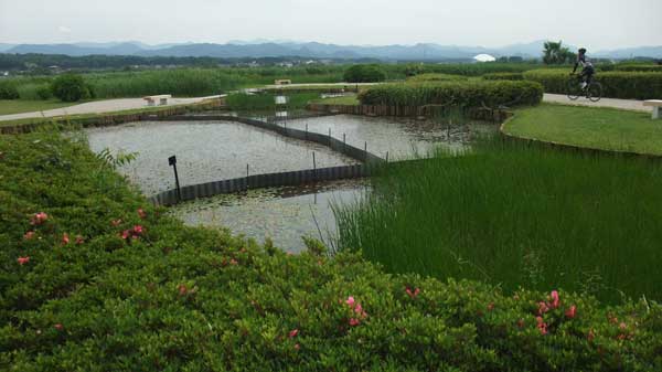 水生植物園