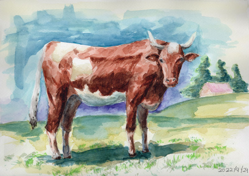 牛の水彩画