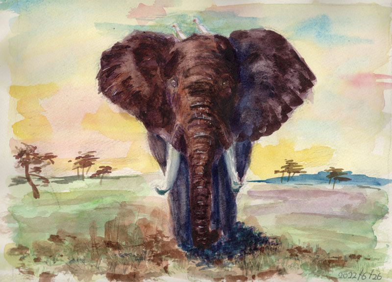 アフリカ象水彩画