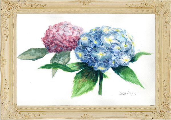 紫陽花２輪（painted on Jul.11,2021）