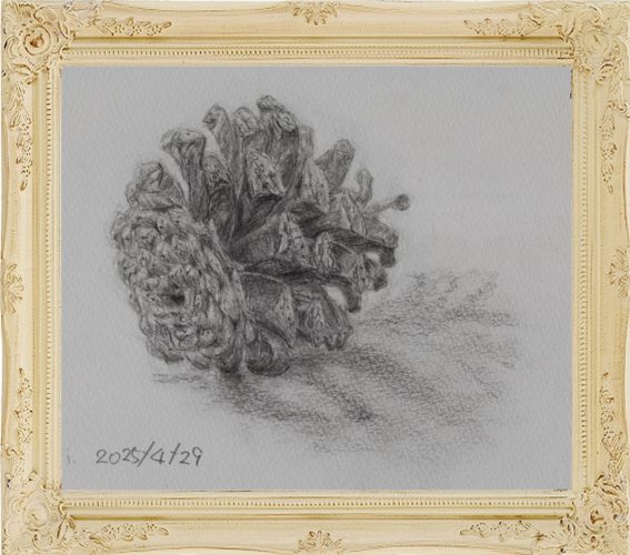 松ぼっくり（painted on Apr.29,2025）